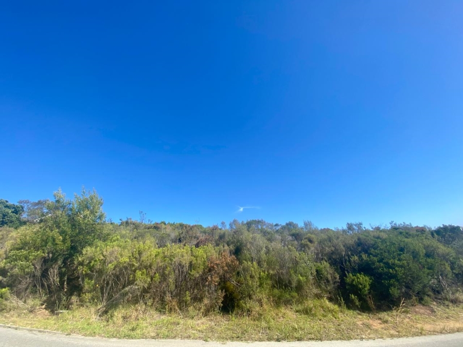Commercial Property for Sale in Constantia Kloof Western Cape